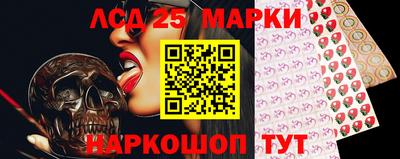 гидропоника Донской